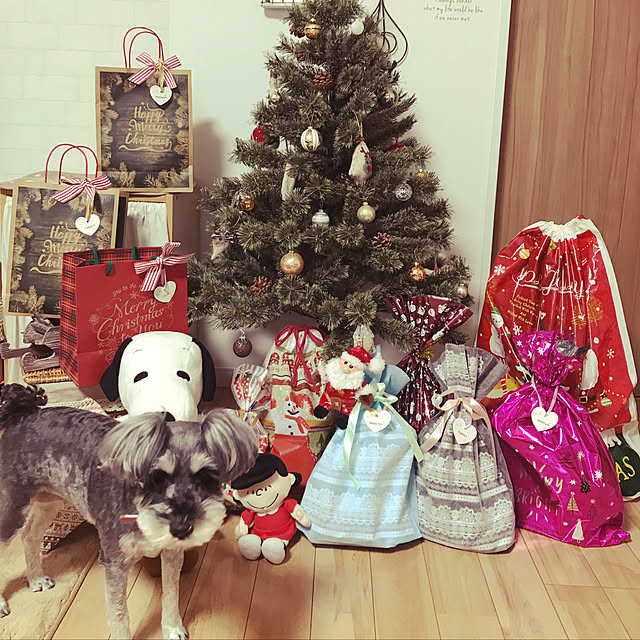 tamaeさんの実例写真