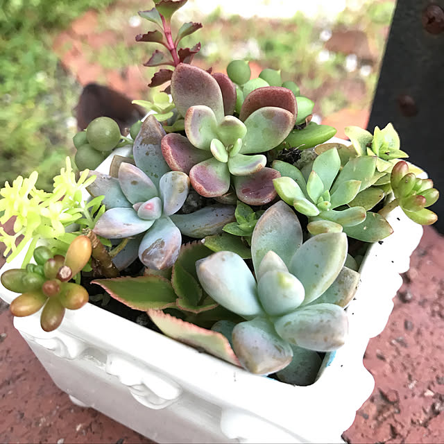 **yuu**さんの実例写真