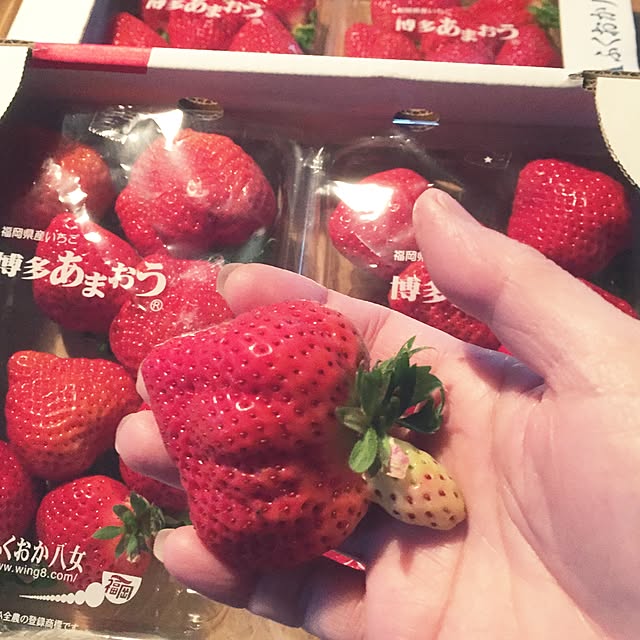 Peroさんの実例写真