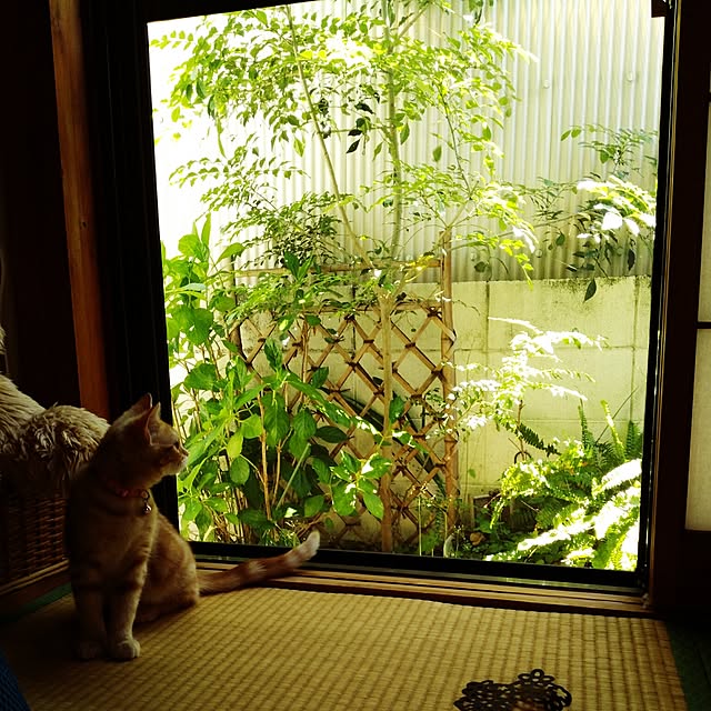 fruityanさんの実例写真