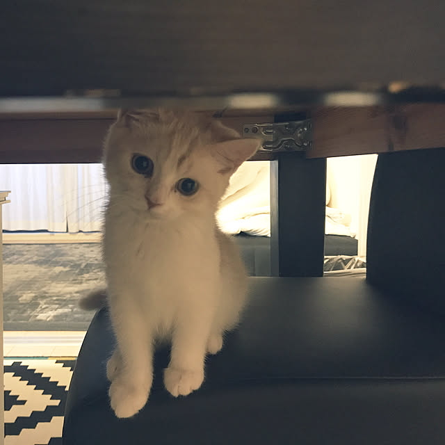 H.Tさんの実例写真