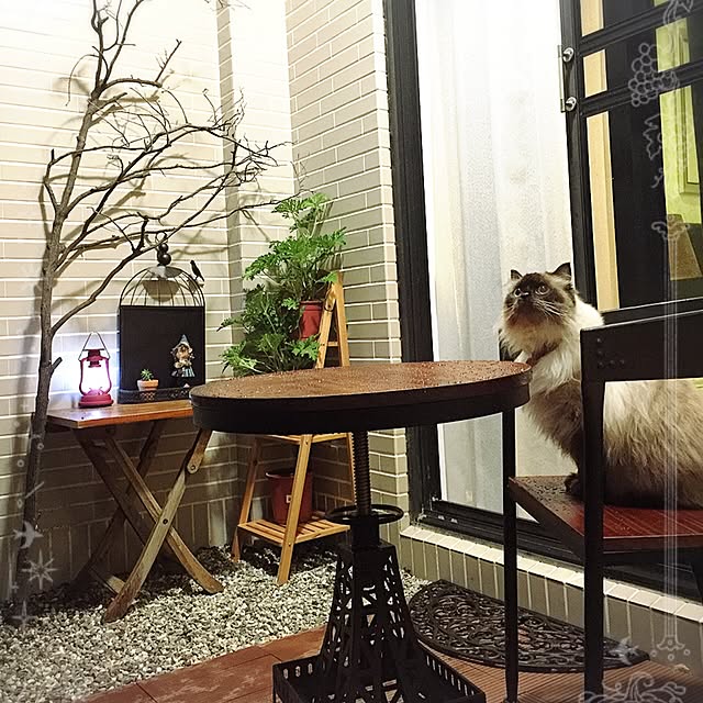 nekopupuさんの実例写真