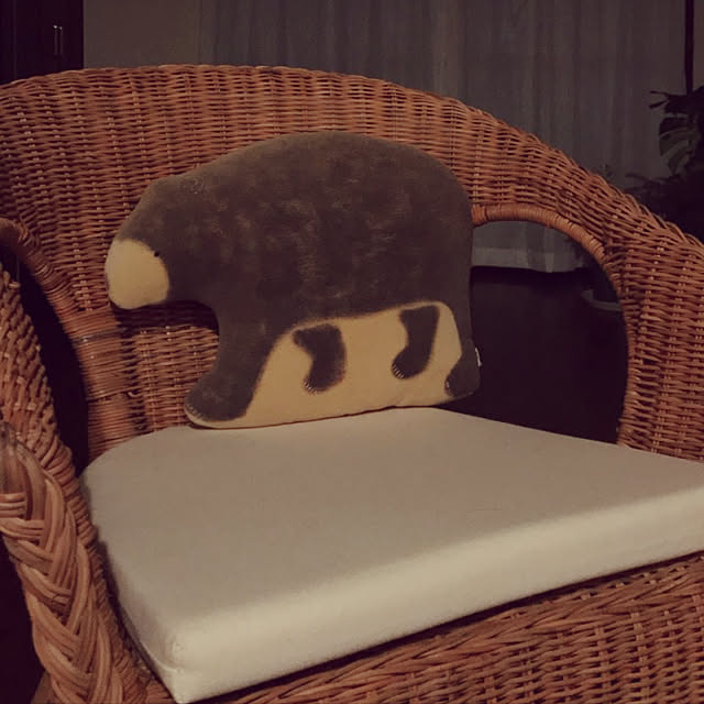 Yukoさんの実例写真
