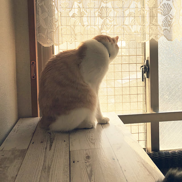 naworinさんの実例写真