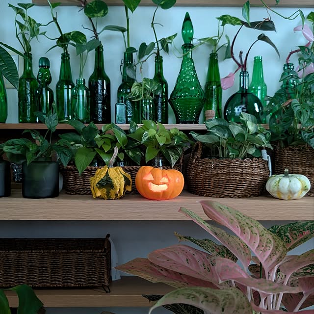 ayamameさんの部屋