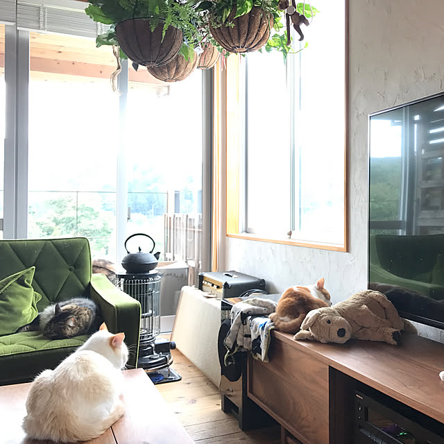 sakurasakuさんの実例写真