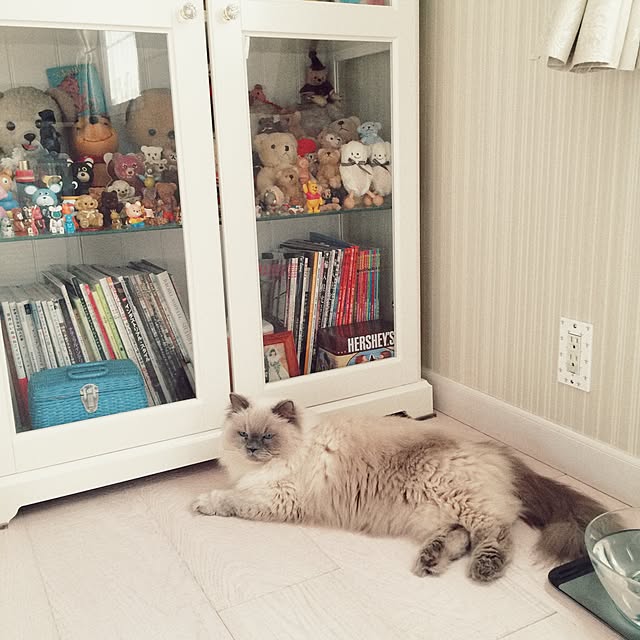 yuchiさんの実例写真
