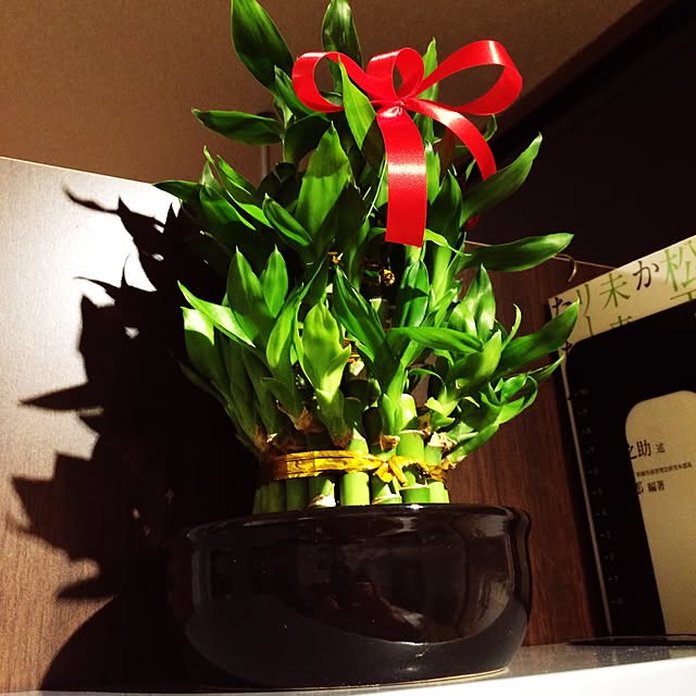 棚/観葉植物のインテリア実例 - 2015-10-02 23:28:40