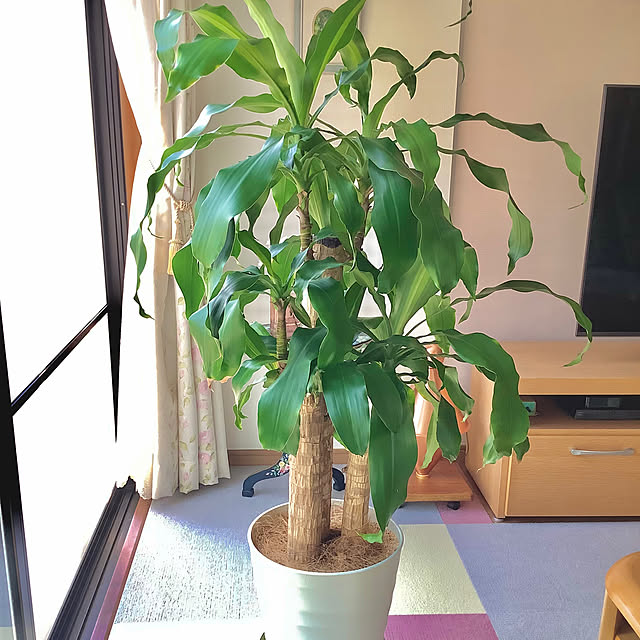 haruminさんの部屋