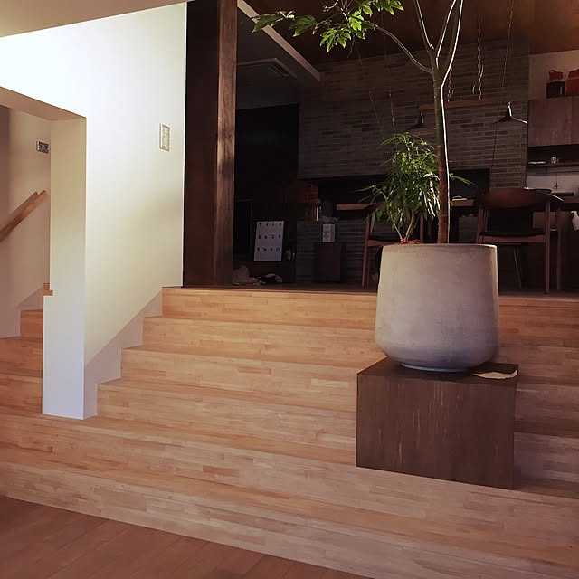階段/観葉植物のインテリア実例 - 2015-07-24 18:12:23