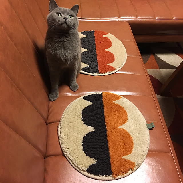 ikettenさんの実例写真