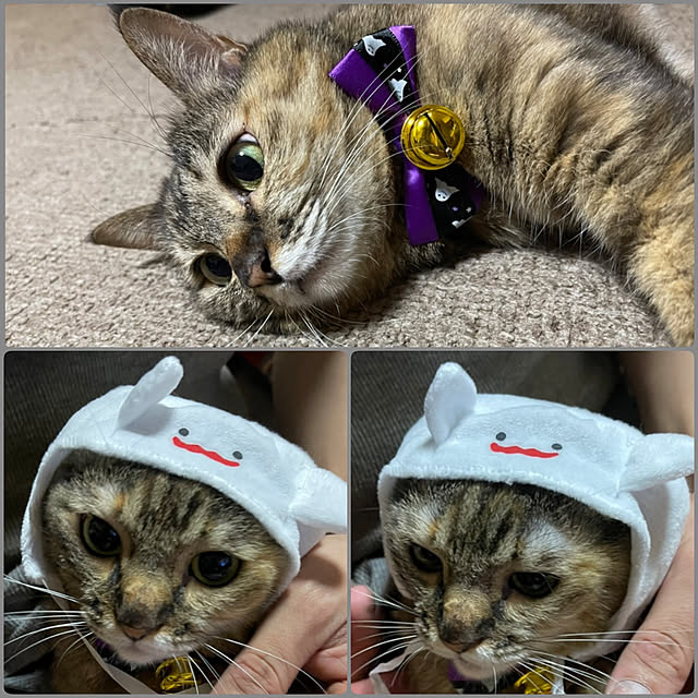 miho.okuさんの実例写真