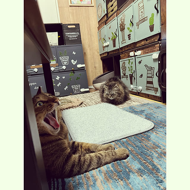 sumoanzuさんの実例写真