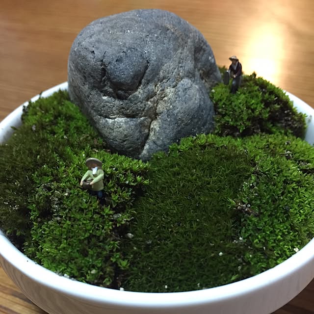 ayhgtさんの実例写真