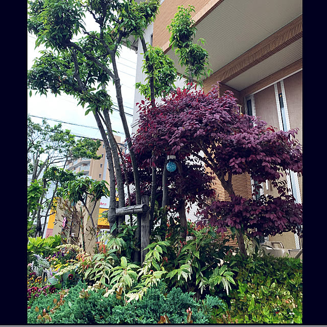 yukarin-gardenさんの実例写真