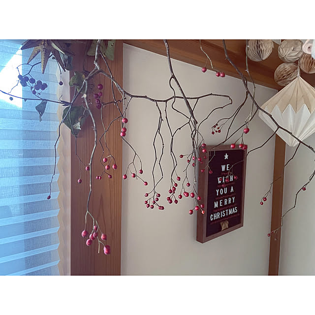 marucoさんの部屋