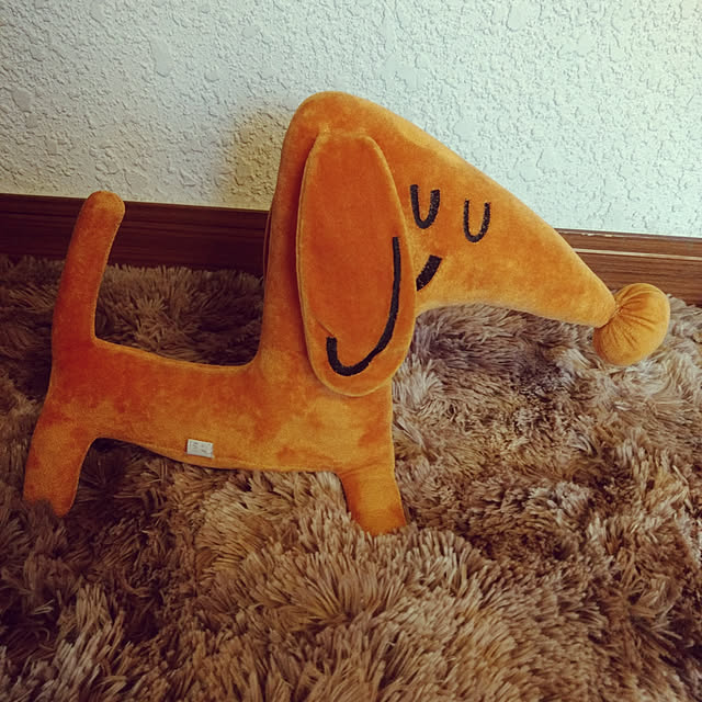 Kohaさんの実例写真