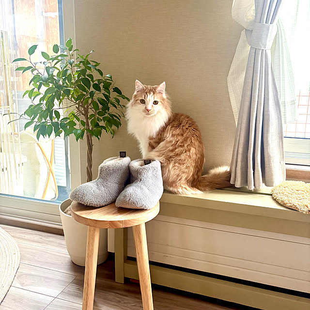 miwaさんの実例写真