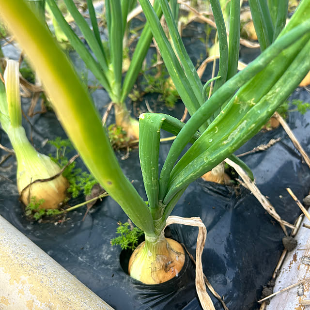 banbinaさんの部屋