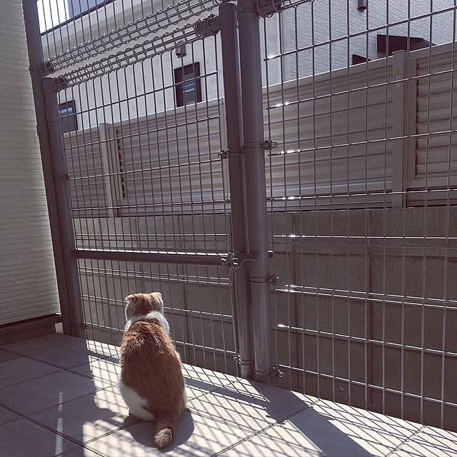 pepperさんの実例写真