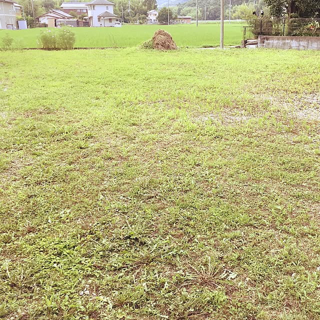 Yukkeさんの実例写真
