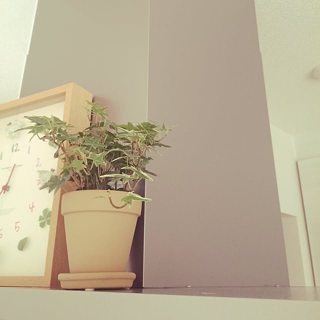 _toro__k_さんの実例写真