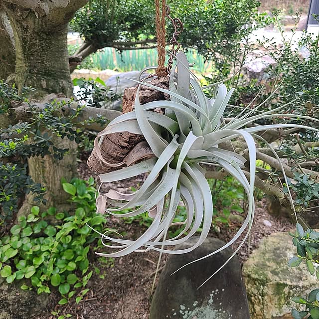 Rubiconさんの部屋