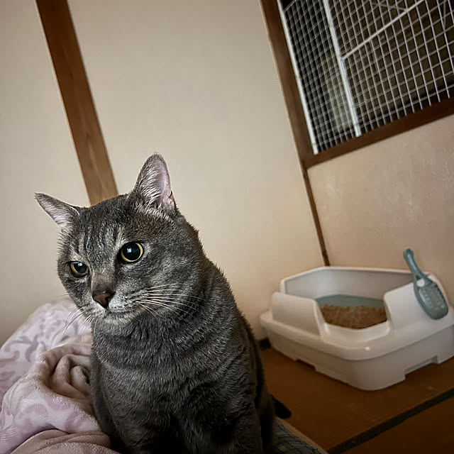 pontaさんの実例写真
