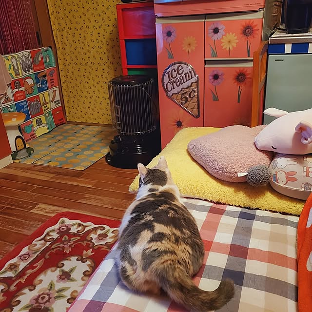 kumutanさんの実例写真