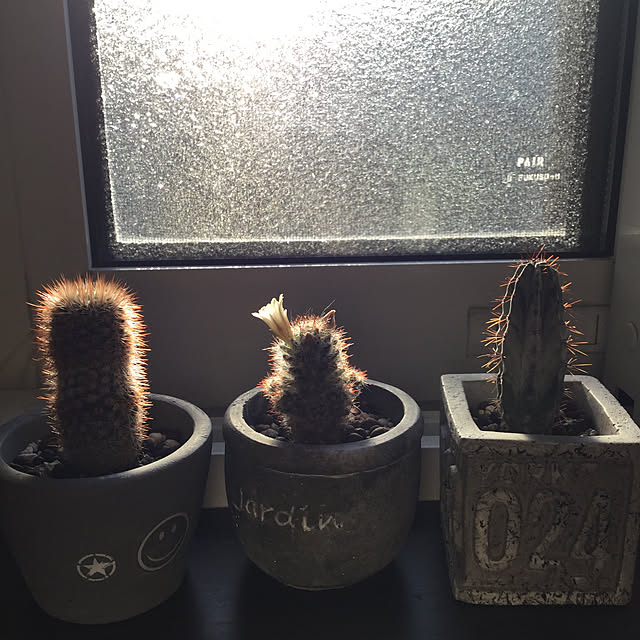 yukkin29さんの実例写真