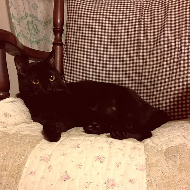 hilaさんの実例写真