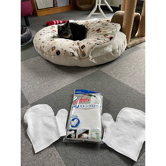 momocchiさんの実例写真