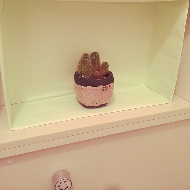 Konさんの実例写真