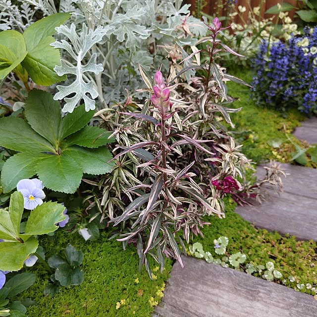 coconathuさんの部屋