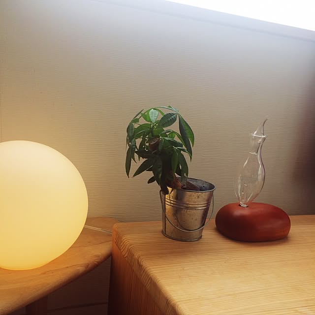 Yumiさんの実例写真