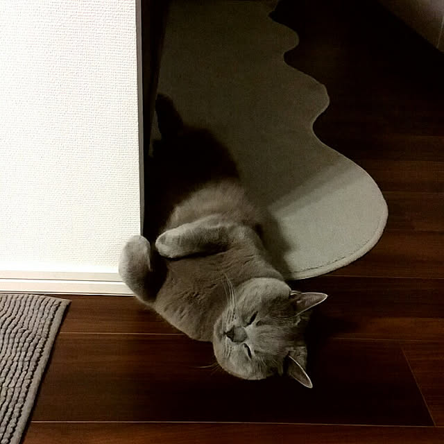 hineko_homeさんの実例写真