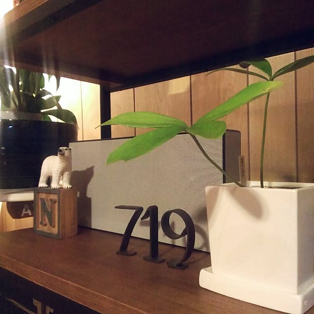 721さんの実例写真