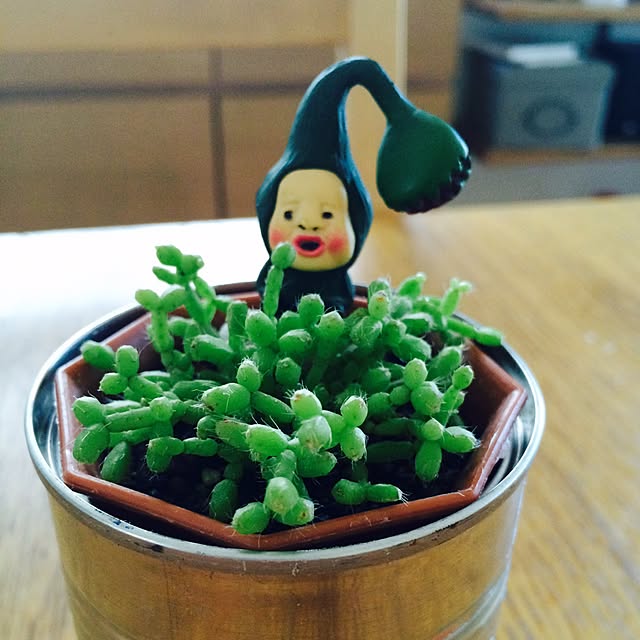 JINJIさんの実例写真