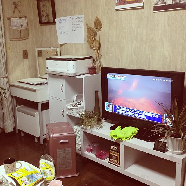 実例写真
