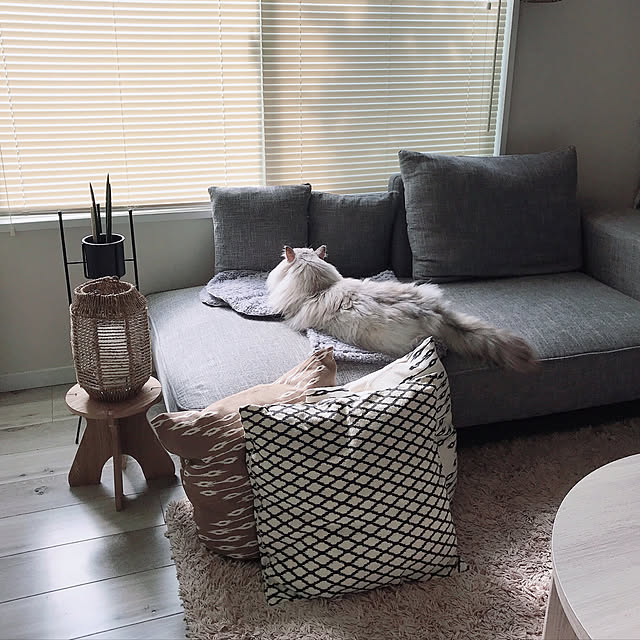 moon.mさんの実例写真