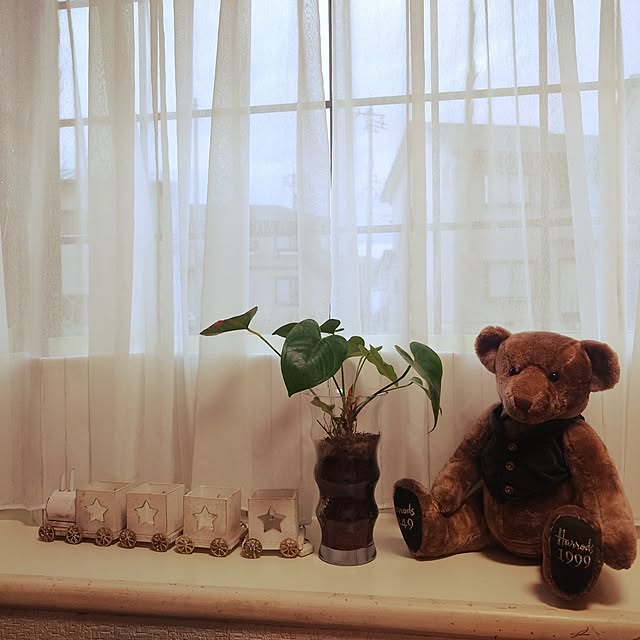 Green-appleさんの実例写真