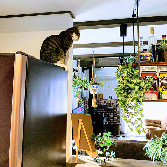 na-sanさんの実例写真