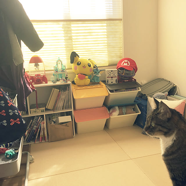 なかなか片付かない/おもちゃ部屋/こどもと暮らす/中古住宅リフォームなし/ねこのいる風景...などのインテリア実例 - 2019-10-23 12:25:30