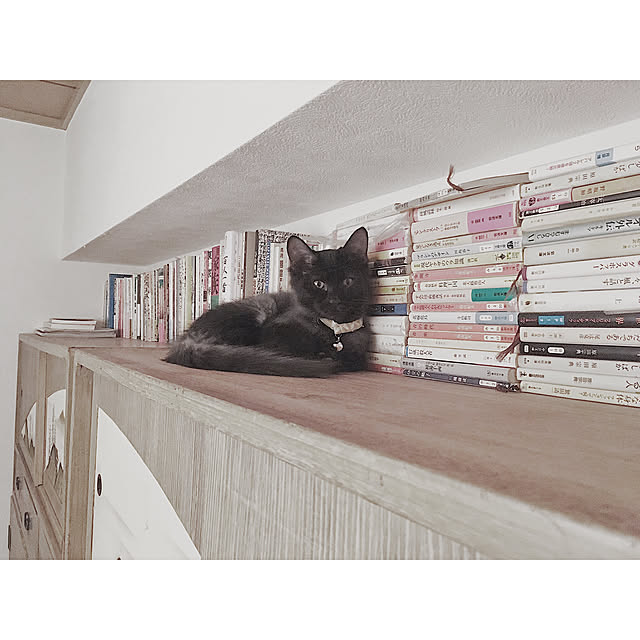 SHIOKONBUさんの実例写真