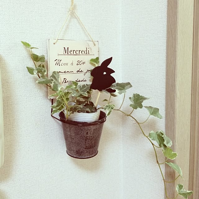 macchi_39さんの実例写真