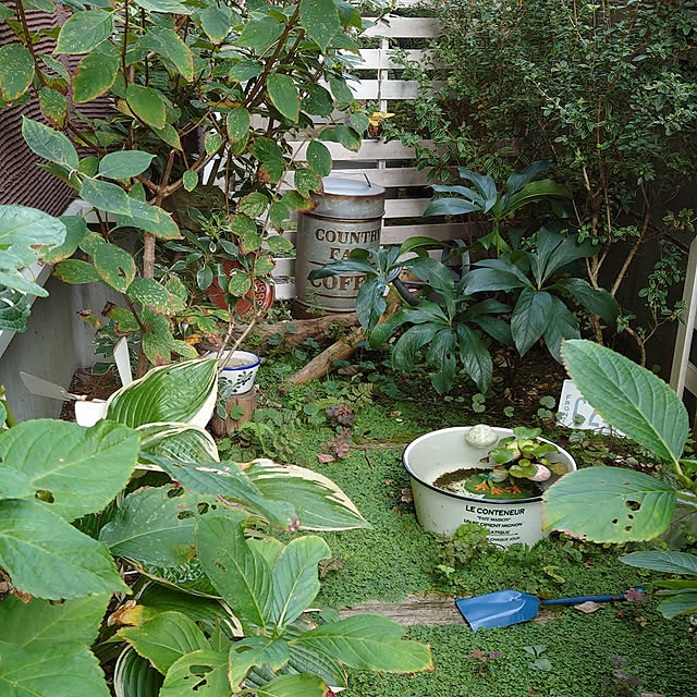 demetanさんの実例写真