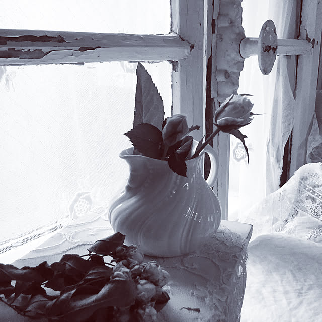 france_rose_laceさんの実例写真