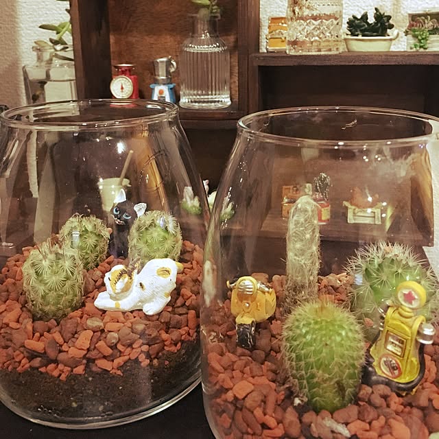 sadaさんの実例写真
