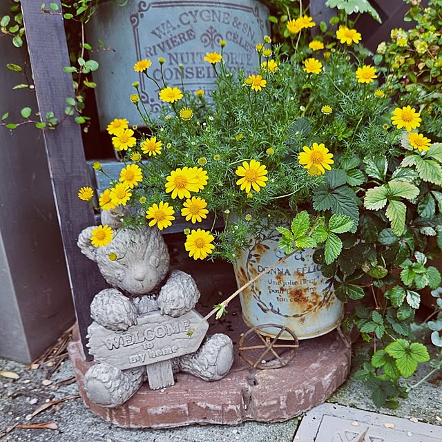 mocomocoさんの部屋