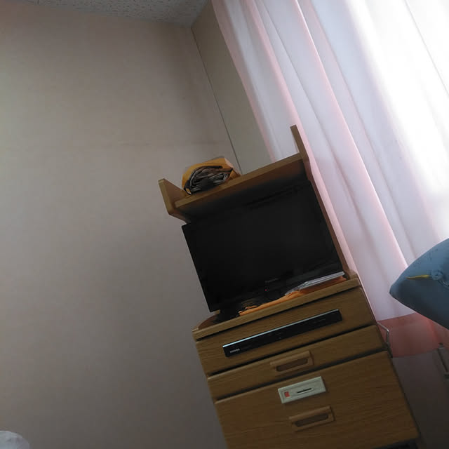 LiSAさんの実例写真
